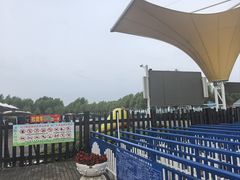 -呼兰河口湿地公园