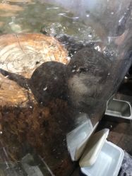 -Zoolung Zoolung动物主题公园(海信广场店)