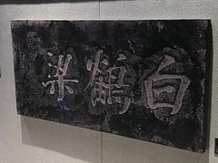 -白鹤梁水下博物馆