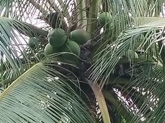 -白沙门生态公园