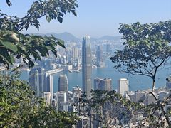 -太平山顶