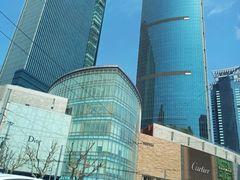 -毕马威华振会计师事务所(上海分所)