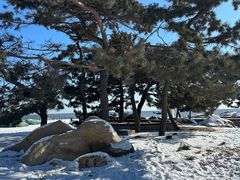 -老虎石海上公园