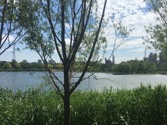 -永定河休闲森林公园