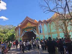 -西双版纳原始森林公园