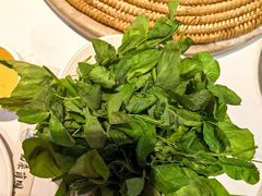 -七采菌园·野生菌石锅鱼(环城北路店)