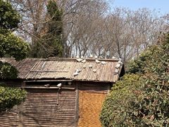 -中国翰园碑林