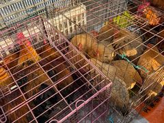 -团泊镇示范集贸市场