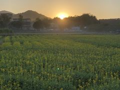 -红山村