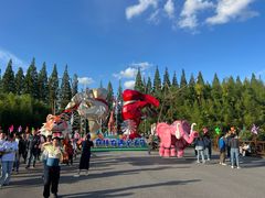 -黄海国家森林公园