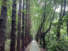 -同里国家湿地公园