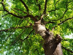 -敬亭山风景名胜区