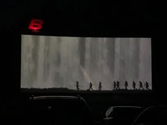 -枫花园汽车电影院(朝阳公园店)