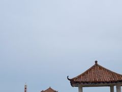-东郊椰林