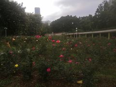 -人民公园(罗湖区)