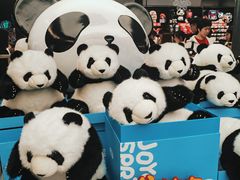 -熊猫屋(宽窄巷子景区店)