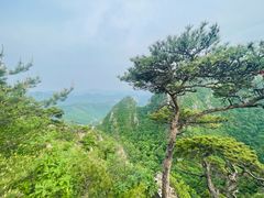-大连天门山国家森林公园