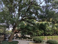 -汇龙潭