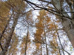 -白鹭湾湿地公园