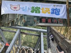 -栾川竹海野生动物园