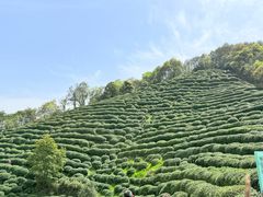 -西湖风景区十里琅珰-五云山