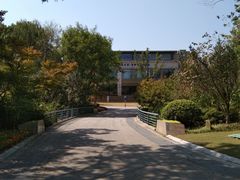 -青枫公园