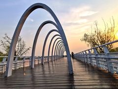 -大兴滨河森林公园