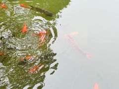 -成都杜甫草堂博物馆