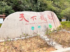 -重庆云阳龙缸景区