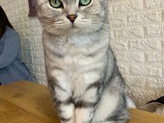 -平行世界·猫咖(首经贸店)
