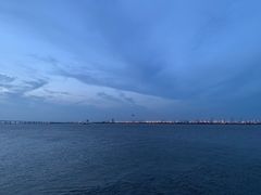 -大湾区中央湿地公园-十九涌