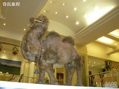 DSCN0964-阿拉丁新疆风味餐厅·清真(罗廊巷店)
