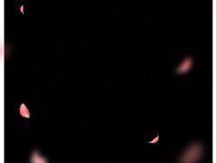 -宁波杉井奥特莱斯广场