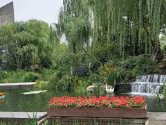-圩墩遗址公园
