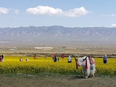 -青海湖国家重点风景名胜区