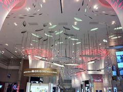 DFS&nbsp;singapore-DFS旗下T广场(新加坡店)