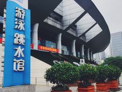 -重庆市奥林匹克体育中心-游泳跳水馆