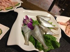 -蜀九香火锅(彩虹店)