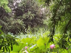 -洛阳市隋唐城遗址植物园