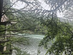-四明山国家森林公园