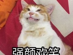 -圣手盲人按摩(苏州街店)