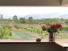 -翠田Green Field Kitchen