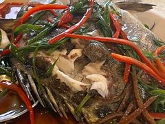 -阳江餐厅·30年老字号·粤菜海鲜大排档
