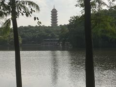 -三水森林公园