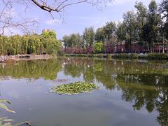 -翠湖公园
