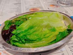 蚝油生菜-敏华冰厅(平安金融中心店)