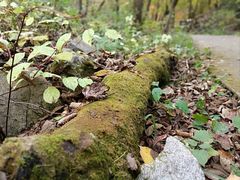 -本溪老边沟风景区