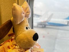 -青岛胶东国际机场