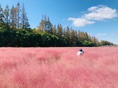 -嘉北郊野公园