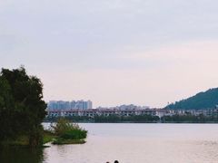 -顺峰山公园